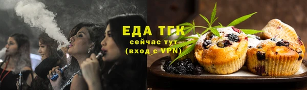 хмурый Гусь-Хрустальный