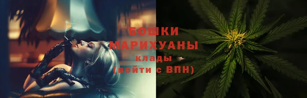 мдпв Лабытнанги