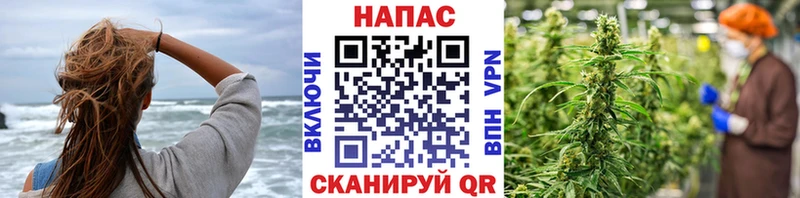 где купить Жирновск Каннабис гибрид